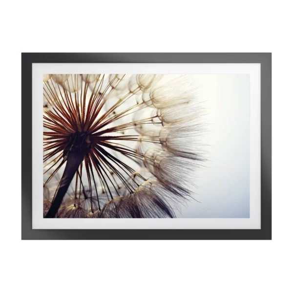 Woodspring Artwork with Fornari Black Frame - Image 1