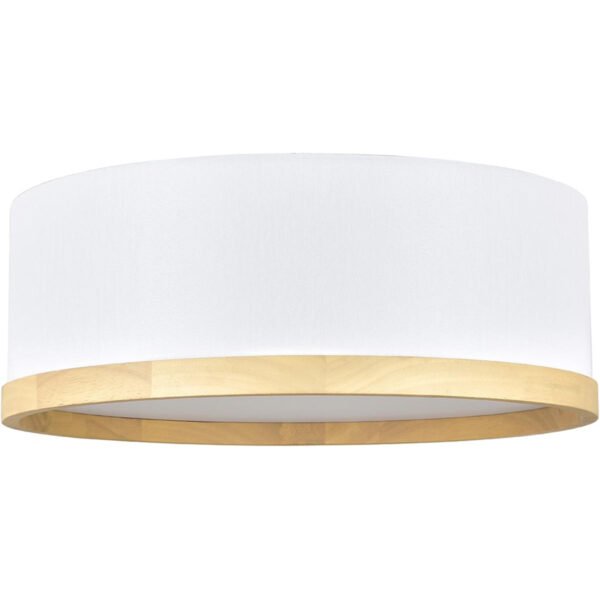 Rise and Shine Guestroom Ceiling Light (Renovation) - Image 1
