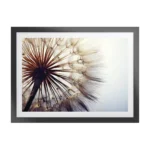 Woodspring Artwork with Fornari Black Frame