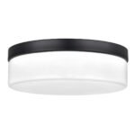 11.25" Diameter LED Drum Style Ceiling Light with Acrylic Shade