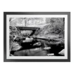 Woodspring Artwork with Fornari Black Frame