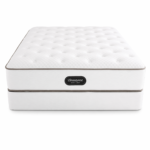 Beautyrest Hospitality Trevor 13" Euro Top