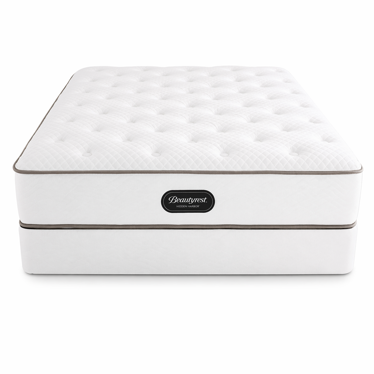 1 Beautyrest Hospitality Trevor 13" plush - Image 1