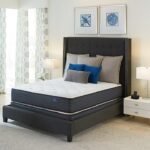 Platinum Suite Plush