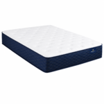 Corporate Suite Plush (Two-Sided) - Image 2