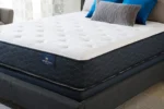 Platinum Suite Plush - Image 3