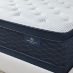 Canopy Euro Pillow Top - Image 4