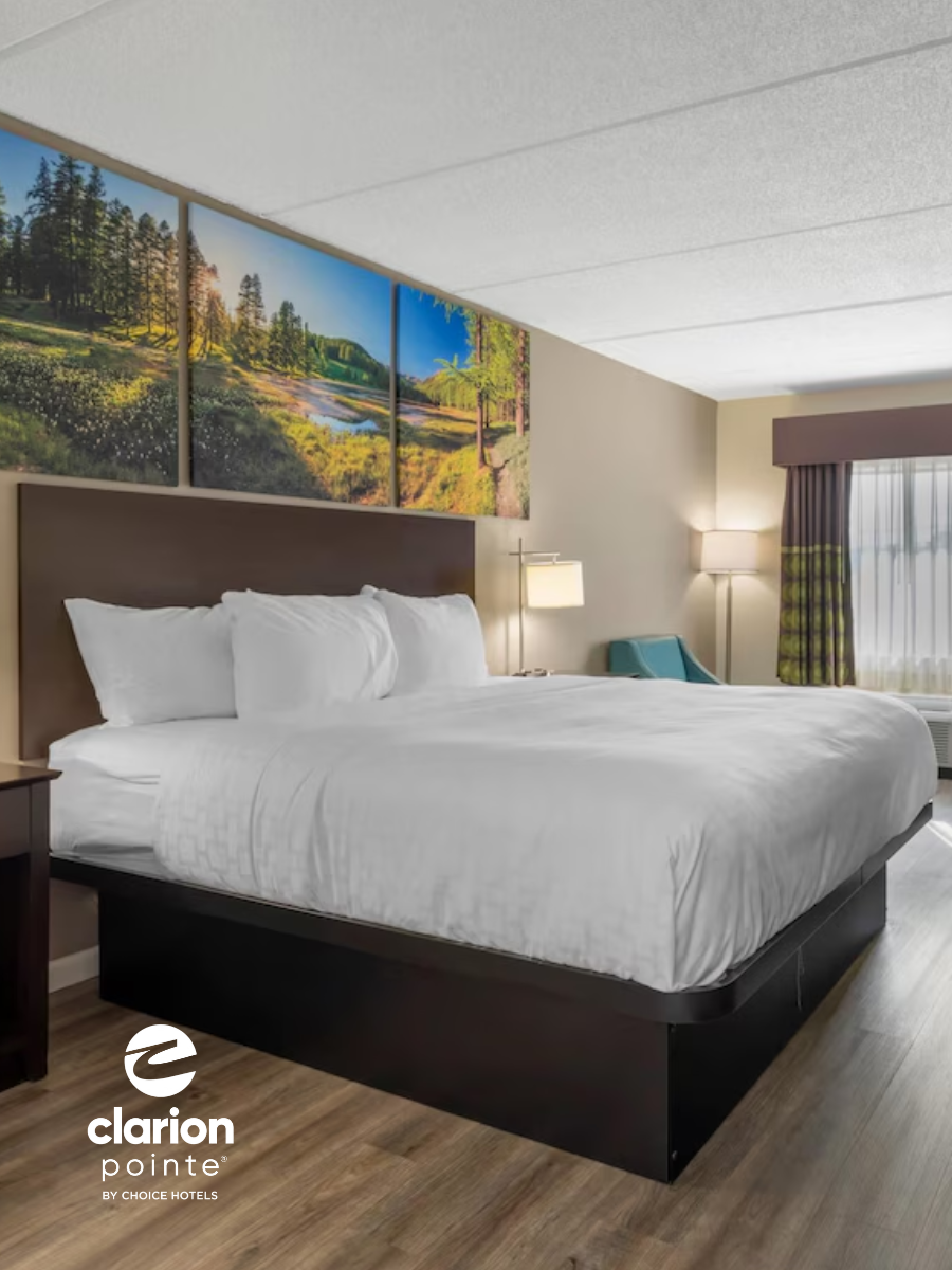 Clarion Pointe Mattresses