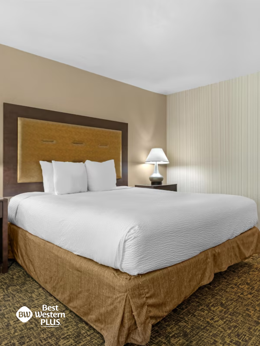 Best Western Plus Mattresses
