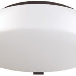12″ Dark Bronze Ceiling Light with Frosted Acrylic Shade