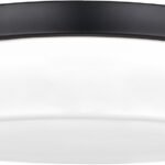11″ Black Drum Flush Mount