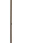 Dark Bronze Angled-Arm Floor Lamp